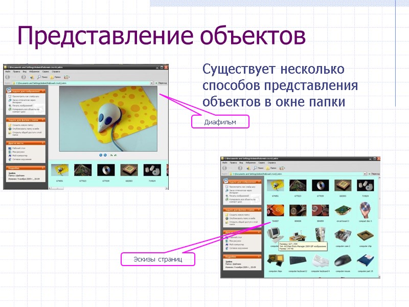 Представление объектов Существует несколько способов представления объектов в окне папки Диафильм Эскизы страниц Представление объектов Существует несколько способов представления объектов в окне папки Диафильм Эскизы страниц